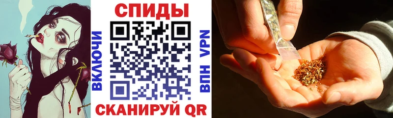 Бутират буратино Кузнецк