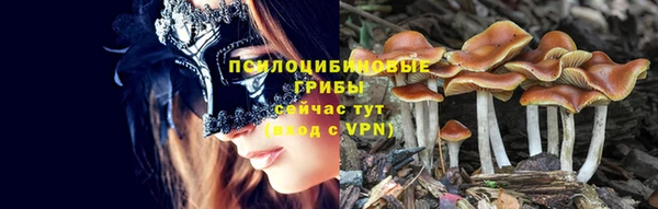 бутират Каменск-Шахтинский