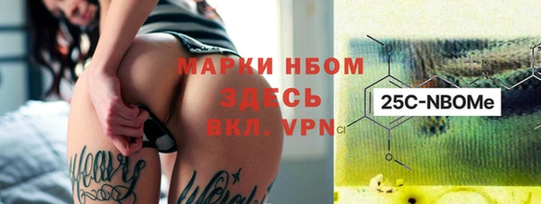 индика Каменногорск