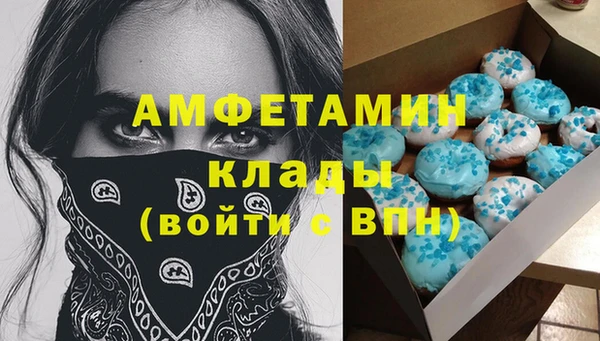 спиды Инта