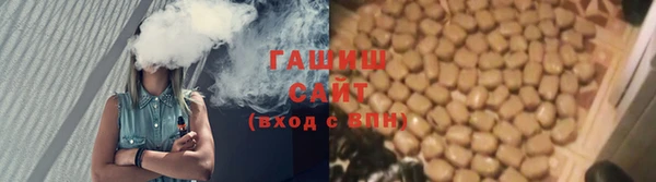 индика Каменногорск