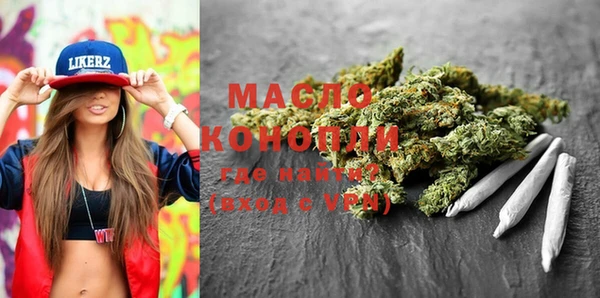 индика Каменногорск