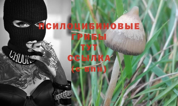 каннабис Каменка