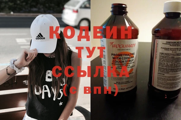 индика Каменногорск