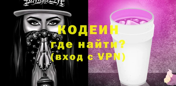 индика Великий Новгород