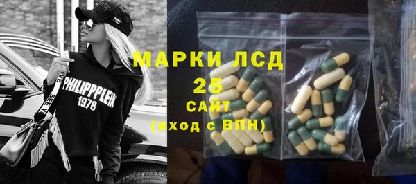 индика Каменногорск