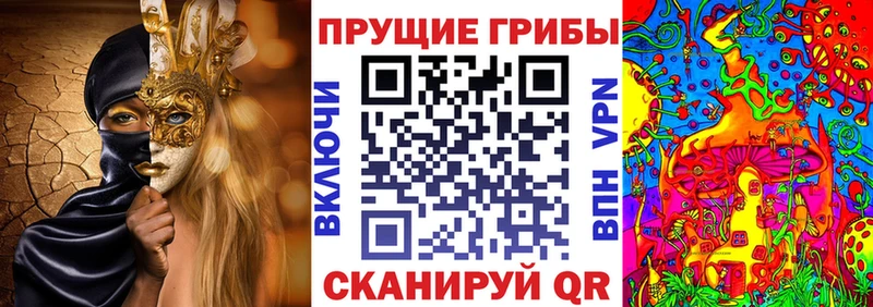Псилоцибиновые грибы Magic Shrooms  Кузнецк 
