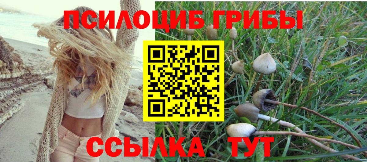 Галлюциногенные грибы мухоморы Кузнецк